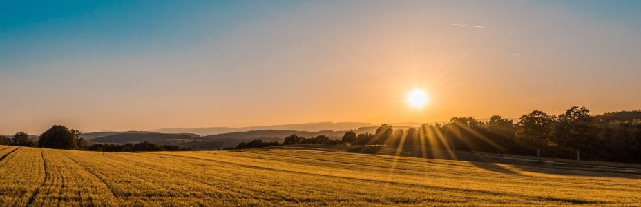 federico-respini-sYffw0LNr7s-unsplash